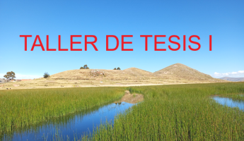 TALLER DE TESIS I